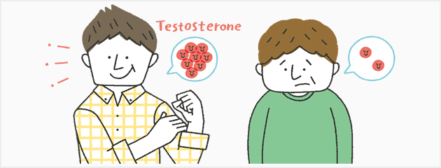 男性更年期（前編） テストステロンについて知ろう