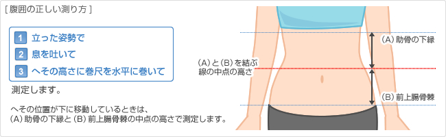 腹囲の正しい測り方