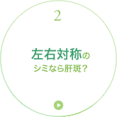 �Q ���E�Ώ̂̃V�~�Ȃ�̔��H