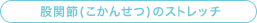 �Ҋ֐߁i�����񂹂j�̃X�g���b�`