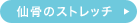 �卜�̃X�g���b�`