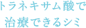 �g���l�L�T���_�Ŏ��Âł���V�~