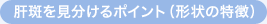 �̔�����������|�C���g�i�`��̓����j