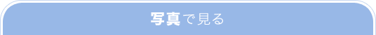 写真で見る