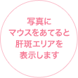 �ʐ^�Ƀ}�E�X�����Ă�Ɗ̔��G���A��\�����܂�