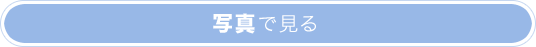 �ʐ^�Ō���