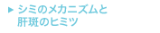 �V�~�̃��J�j�Y���Ɗ̔��̃q�~�c