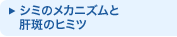 �V�~�̃��J�j�Y���Ɗ̔��̃q�~�c
