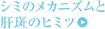 �V�~�̃��J�j�Y���Ɗ̔��̃q�~�c