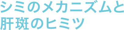 �V�~�̃��J�j�Y���Ɗ̔��̃q�~�c