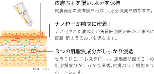 皮膚表面を覆い、水分を保持！/ナノ粒子が隙間に密着！/3つの肌脂質成分がしっかり浸透