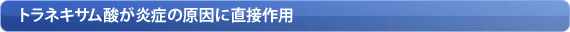 �g���l�L�T���_�����ǂ̌����ɒ��ڍ�p