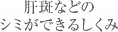 肝斑などのシミができるしくみ