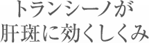 トランシーノが肝斑に効くしくみ