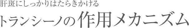 肝斑にしっかりはたらきかけるトランシーノの作用メカニズム