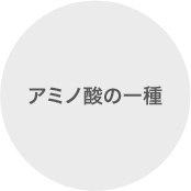アミノ酸の一種