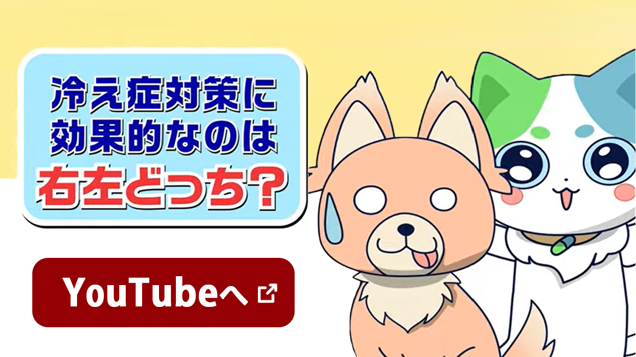 冷え症対策に効果的なのは右左どっち？　YouTubeへ 新しいウインドウで開く