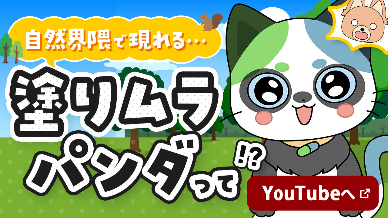 YouTubeへ 新しいウインドウで開く