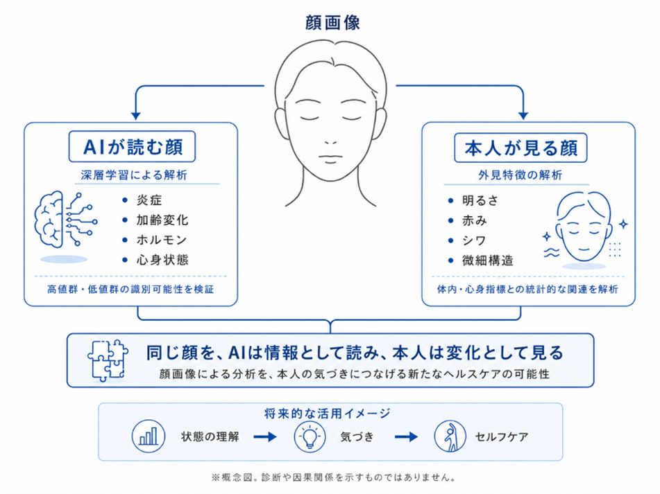 顔画像 AIが読む顔 深層学習による解析 炎症 加齢変化 ホルモン 心身状態 高値群・低値群の識別可能性を検証 本人が見る顔 外見特徴の解析 明るさ 赤み シワ 微細構造 体内・心身指標との統計的な関連を解析 同じ顔を、AIは情報として読み、本人は変化として見る 顔画像による分析を、本人の気づきにつなげる新たなヘルスケアの可能性 将来的な活用イメージ 状態の理解→気づき→セルフケア ※概念図。診断や因果関係を示すものではありません。