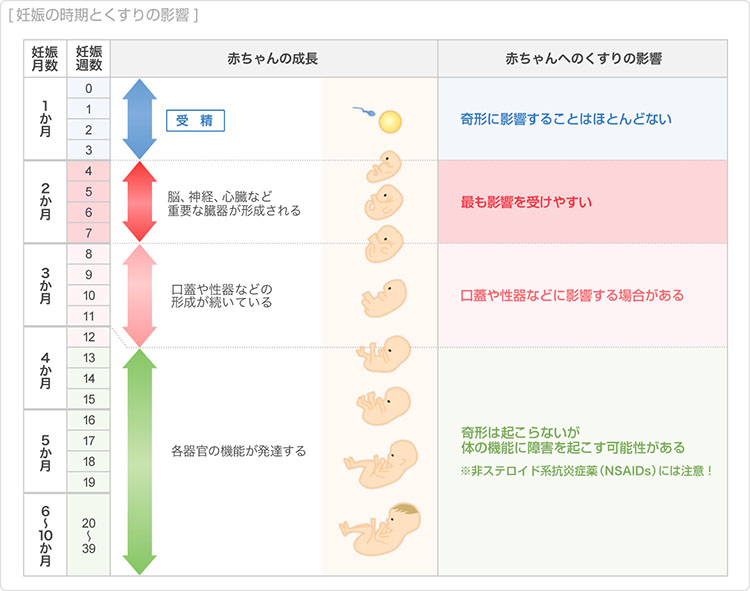 妊娠に伴う体の変化の特徴 くすりと健康の情報局