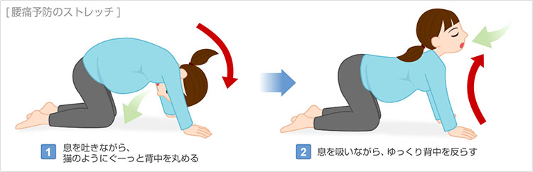 腰痛予防のストレッチ