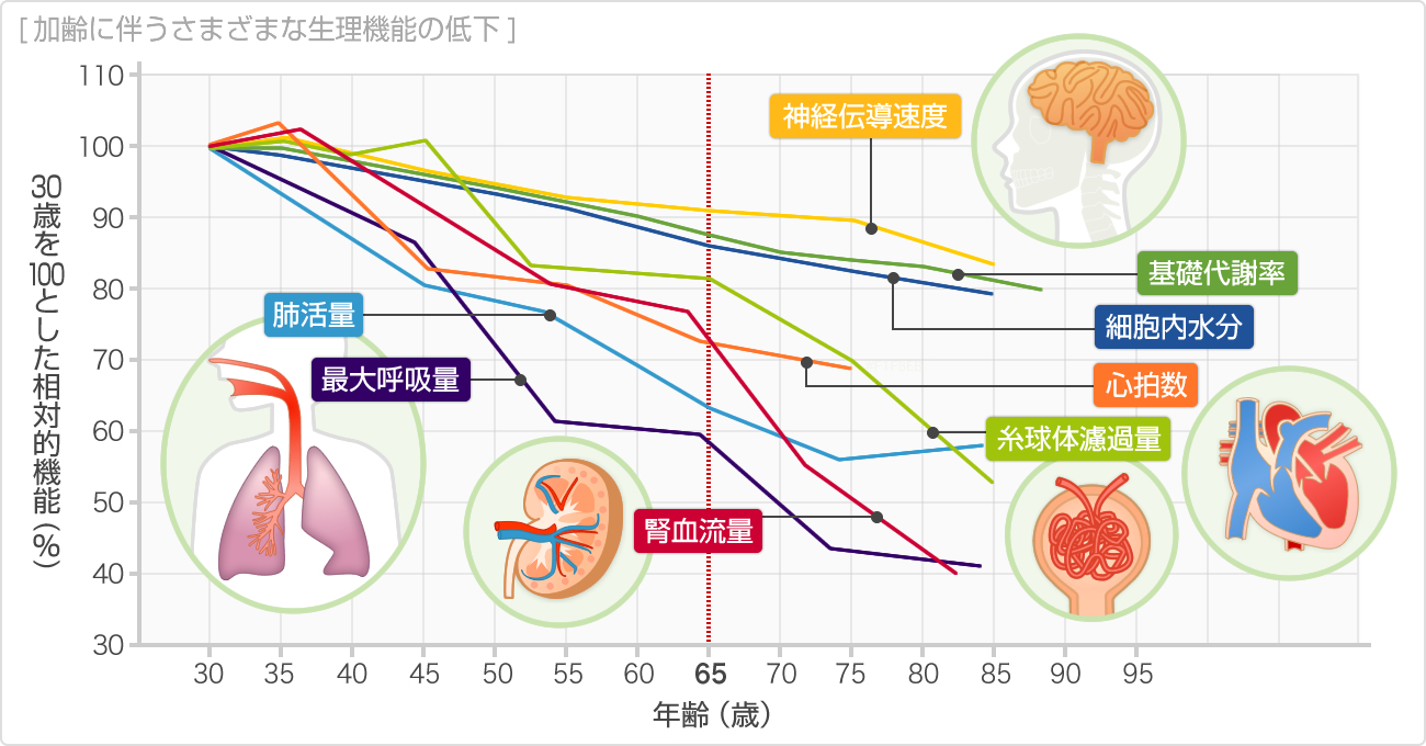 加齢に伴うさまざまな生理機能の低下