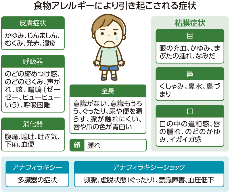 食物アレルギーにより引き起こされる症状の図