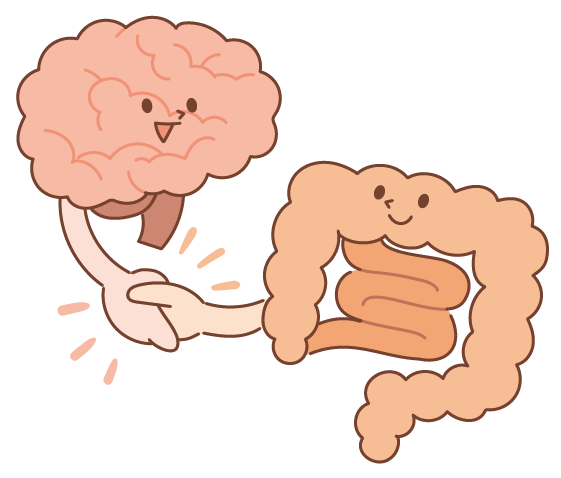 脳と腸が繋がっているイメージ