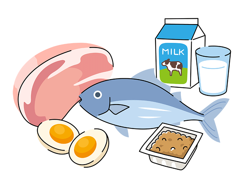 魚、肉、卵、納豆、牛乳の集合イラスト