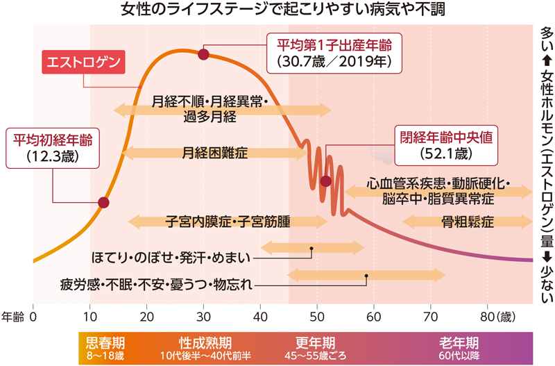 エストロゲンとプロゲステロンはどのように比較しますか?
