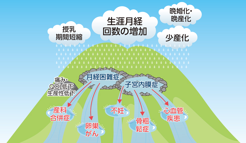 生涯月経回数の増加と疾病リスクの関係図