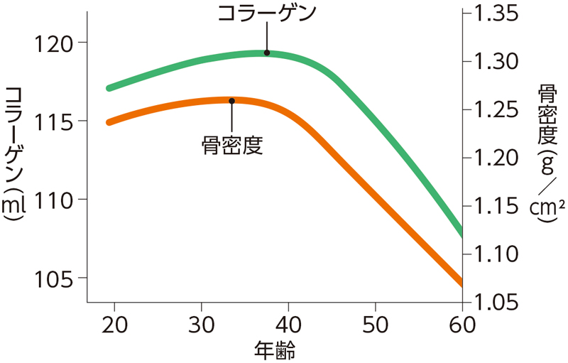 女性体内のコラーゲン量グラフ