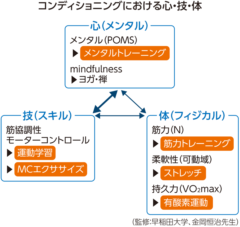 コンディショニングにおける心・技・体の説明図