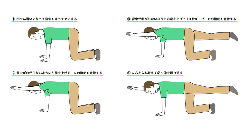 体幹を鍛えるハンドニーの動作説明のイラスト