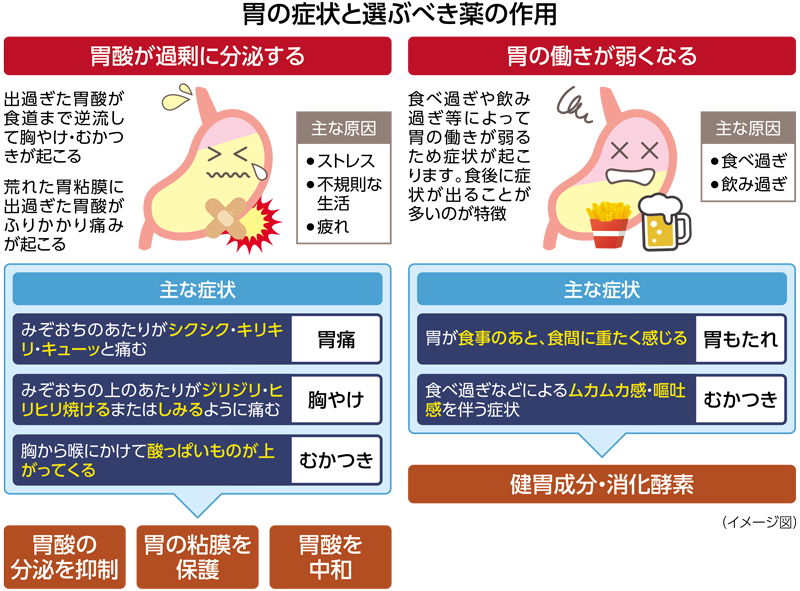 胃の症状と選ぶべき薬の作用