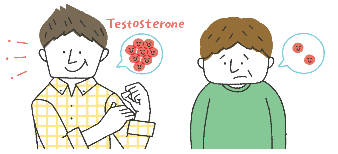 テストステロンが多くハツラツとした男性と、テストステロンが少なく元気がない男性