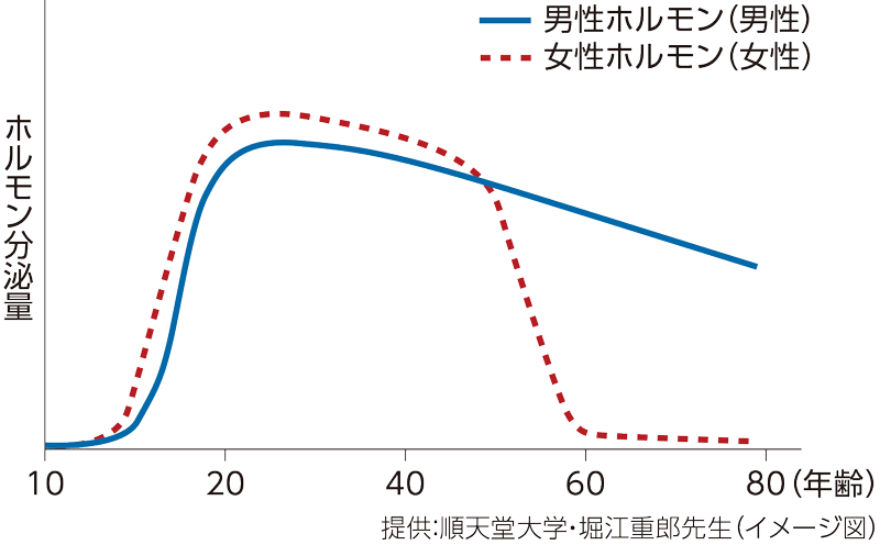 加齢と性ホルモンの変化のイメージ図