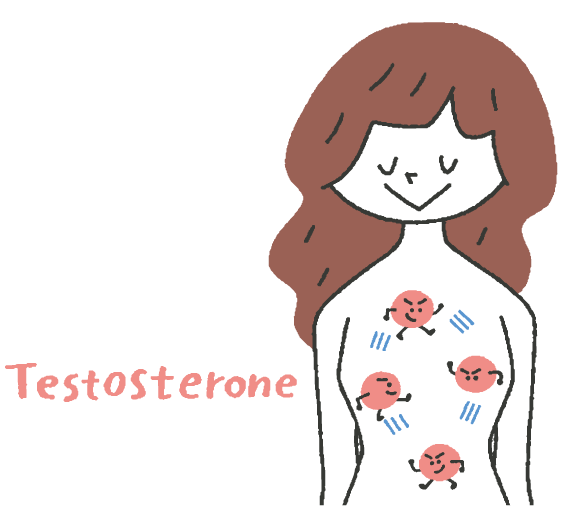女性の体にテストステロンが巡っているイメージのイラスト
