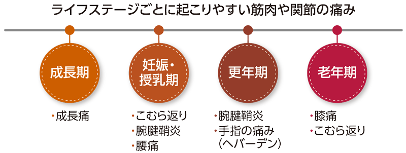 ライフステージごとに起こりやすい筋肉や関節の痛み