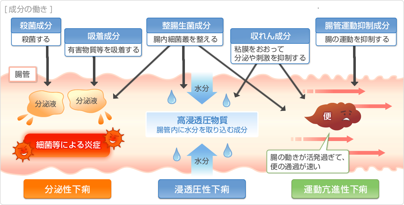下痢ではない お腹 調子 食べ過ぎ