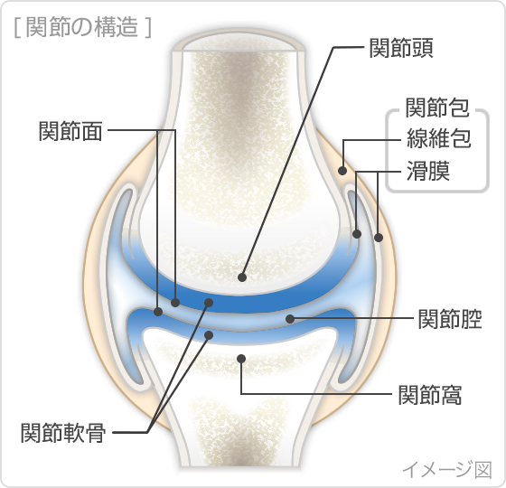 関節痛（変形性関節症）の症状・原因｜くすりと健康の情報局