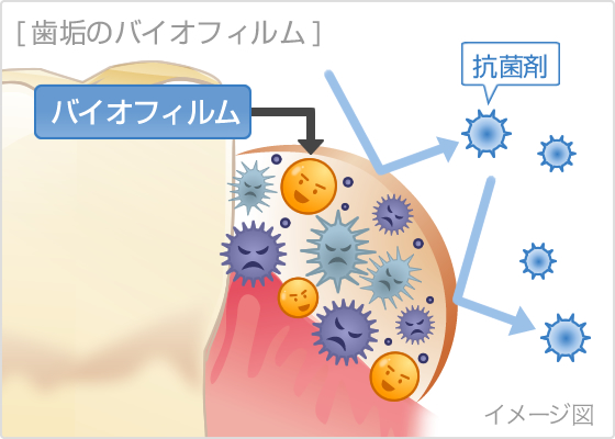 歯垢のバイオフィルム