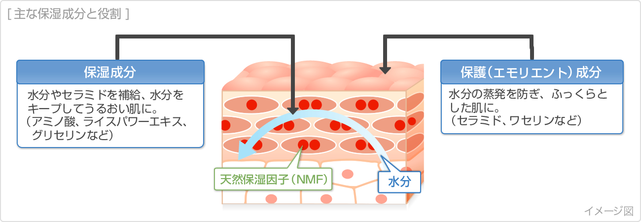 主な保湿成分と役割