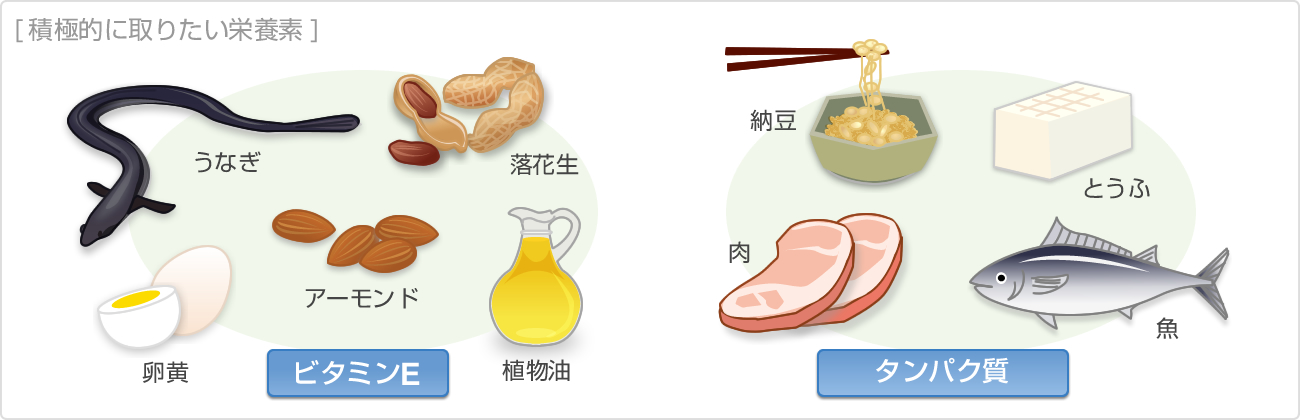 積極的に取りたい栄養素