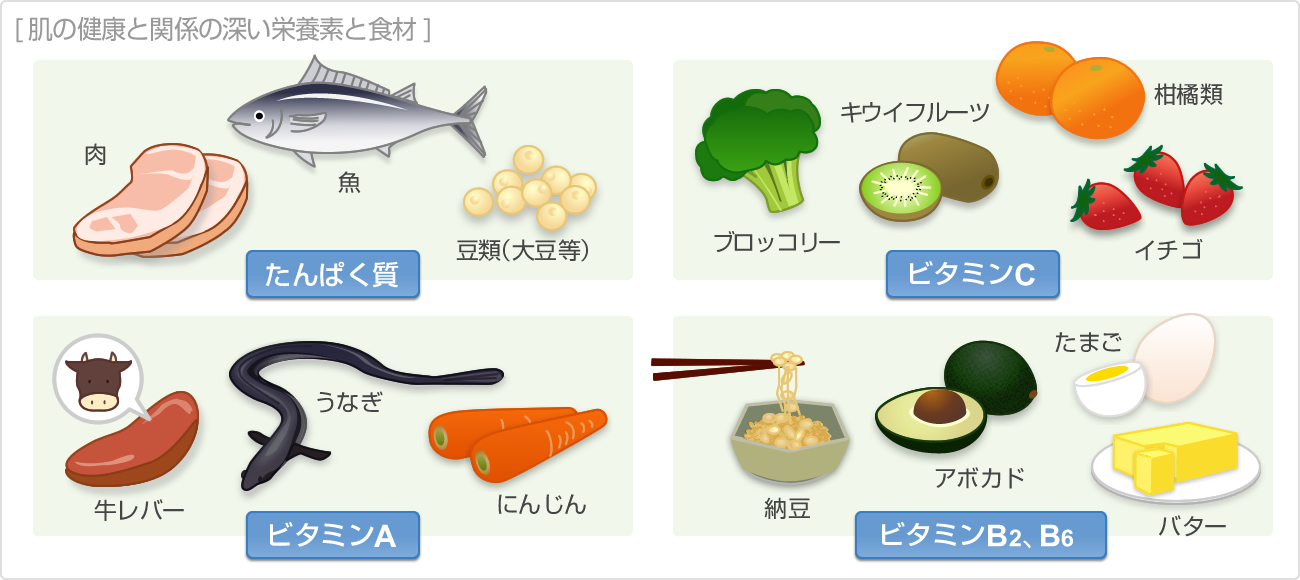 肌の健康と関係の深い栄養素と食材