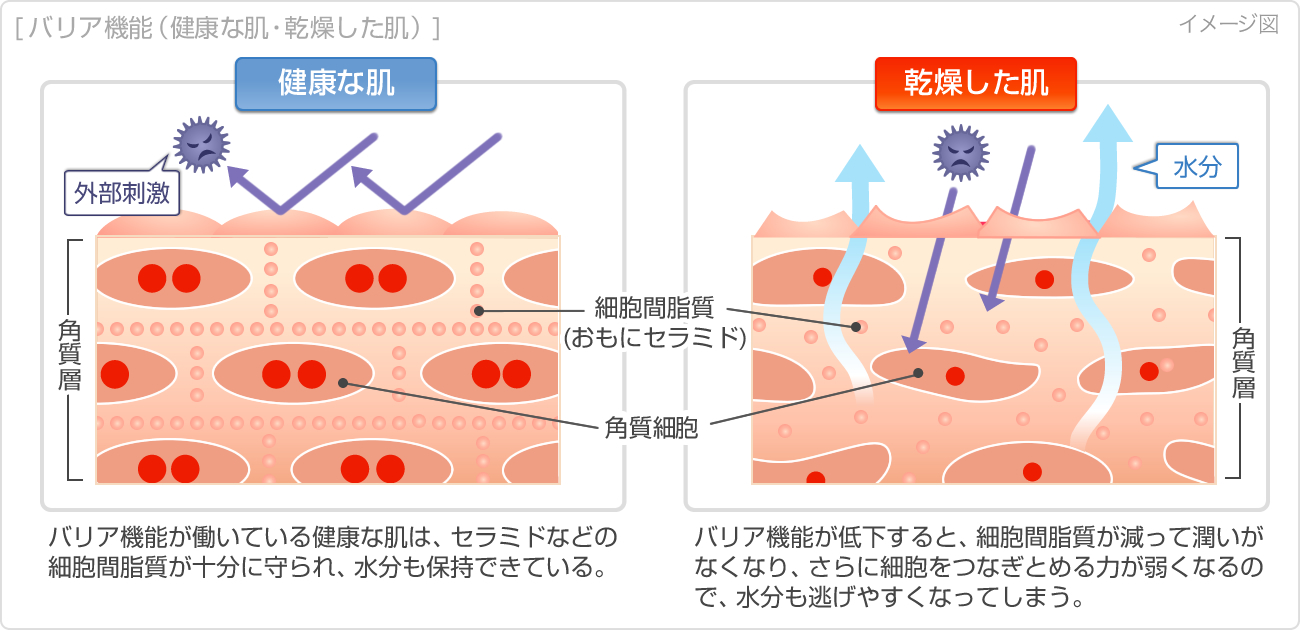 いつ医療専門家に相談すべきか