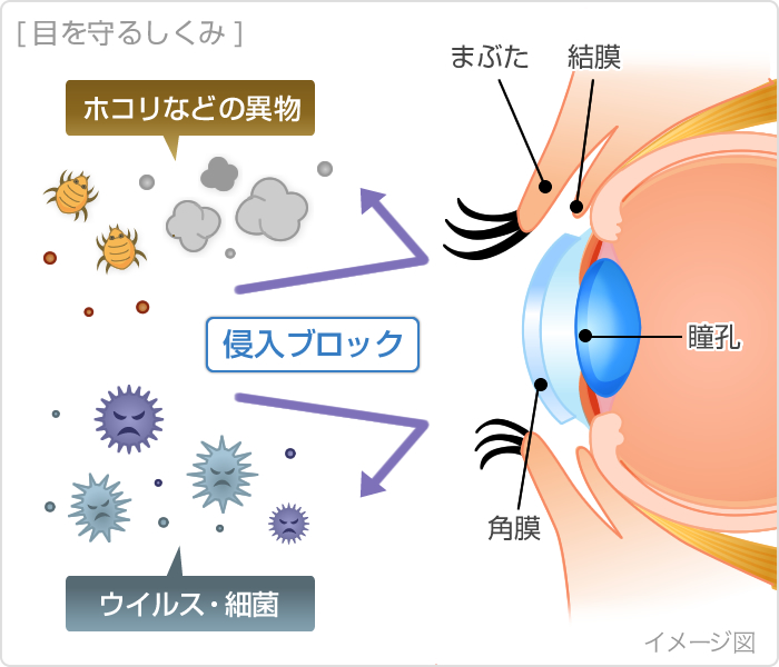 目のかゆみの症状 原因 くすりと健康の情報局