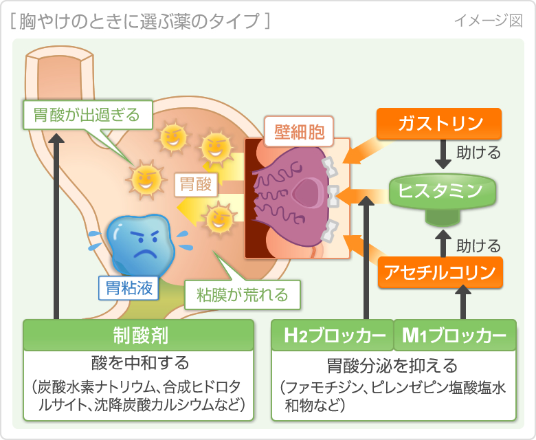 背中が痛い 食べ過ぎ 食べ過ぎで胃が痛い時の対処法！胃痛の原因とその解消法を紹介（胃に優しい食事・ツボ・ストレッチなど）