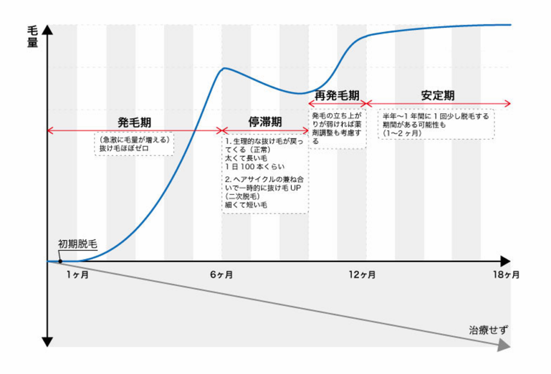 継続的なヘアケアによる毛量の変化（画像提供：勇亜衣子先生）