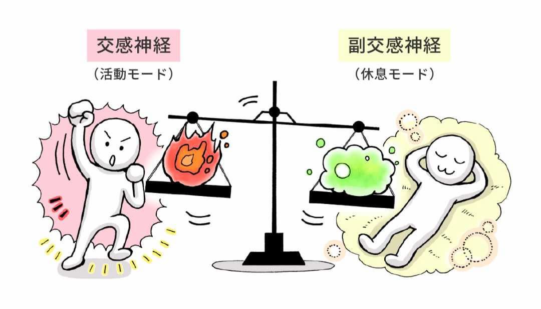 交感神経と副交感神経のバランスのイラスト